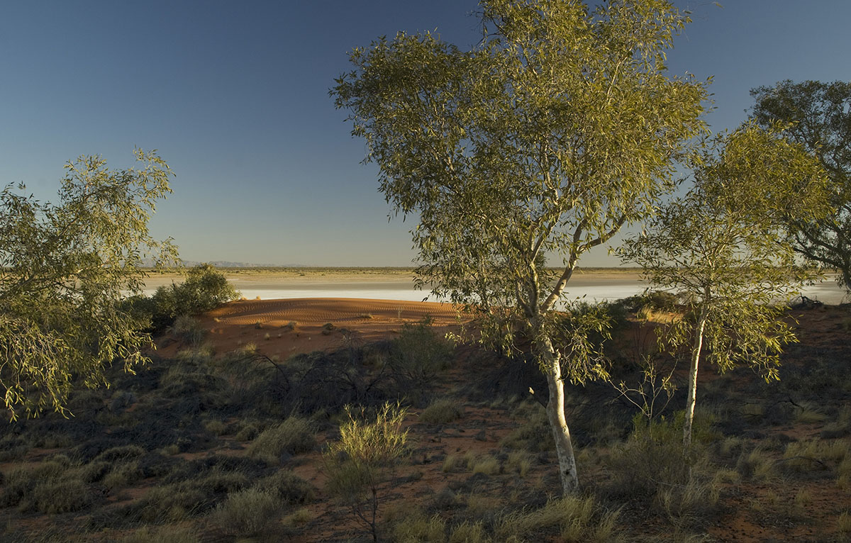 Red parallel dunes, large salt lakes, clay pans, undulating calcareous plains, paleo-drainage channels and remarkable biodiversity are the distinct and dramatic landforms of the Australian Wildlife Conservancy's Newhaven Sanctuary.